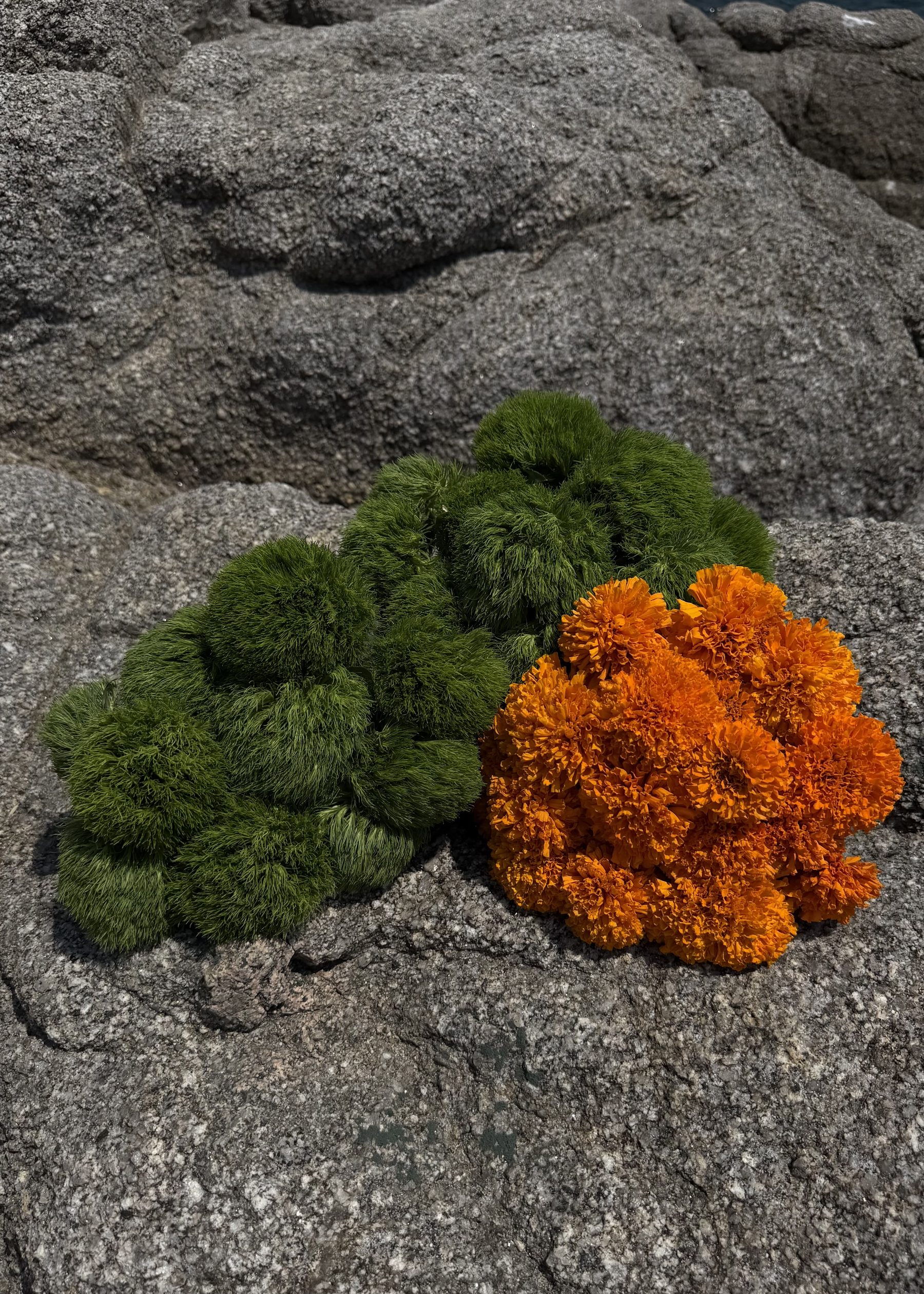 Natural Composition