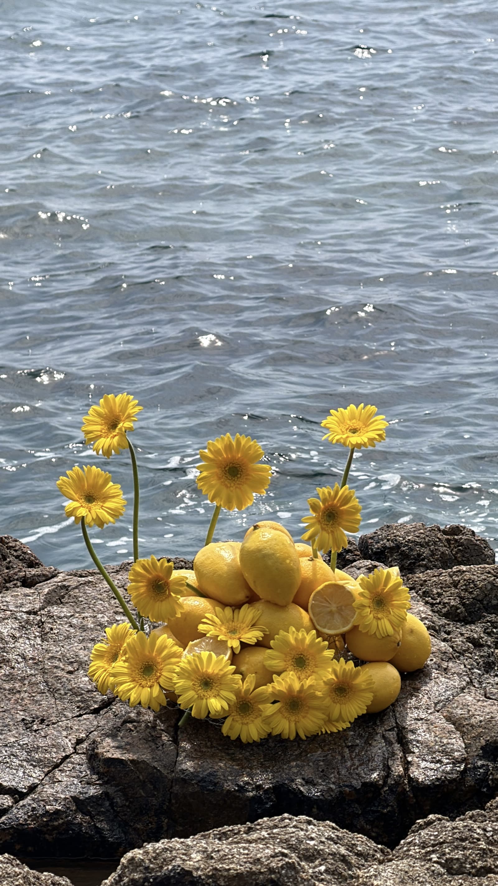 Sicilia